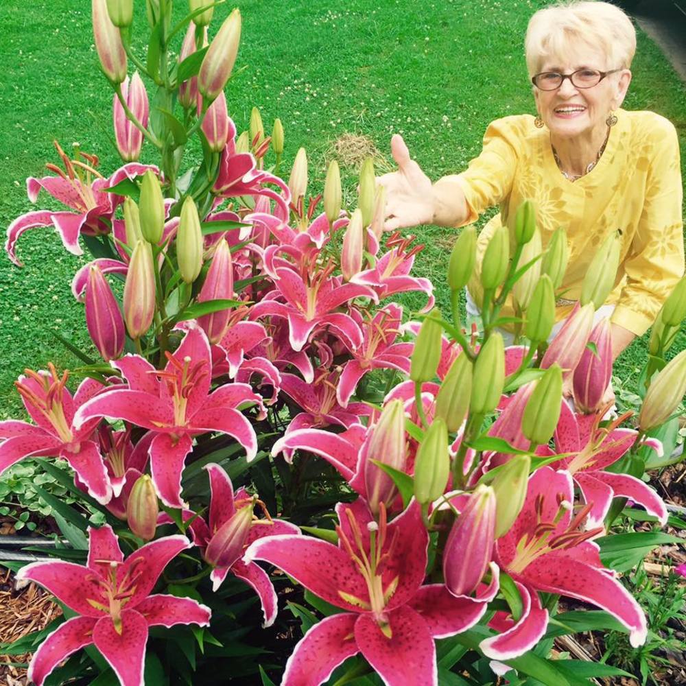 Meet your Posher, Nancy